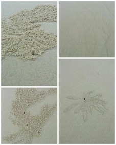Malaysia beach